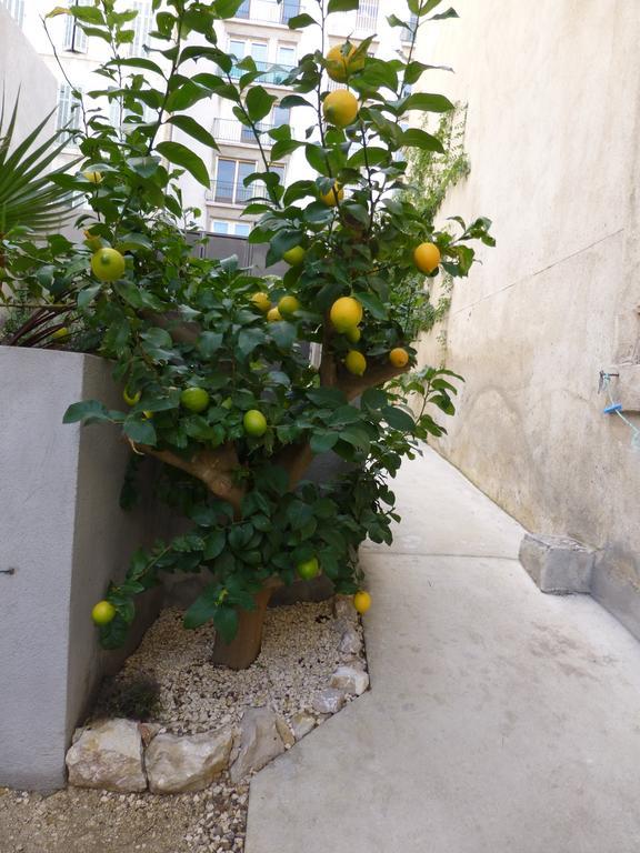 Vakantiehuis L'orangeraie Et La Palmeraie D'endoume Marseilles